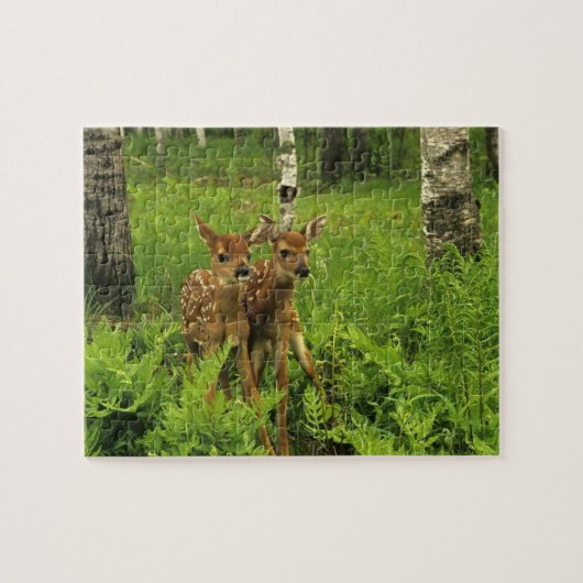 Puzzle Le casse-tête du jeu de Fawn (Horizontal)