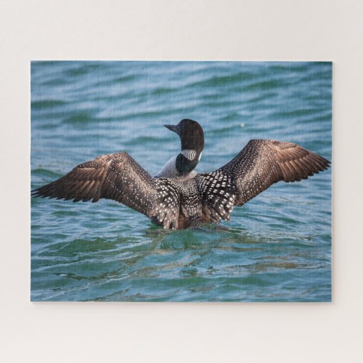 Puzzle Le casse-tête Loon rare (Horizontal)