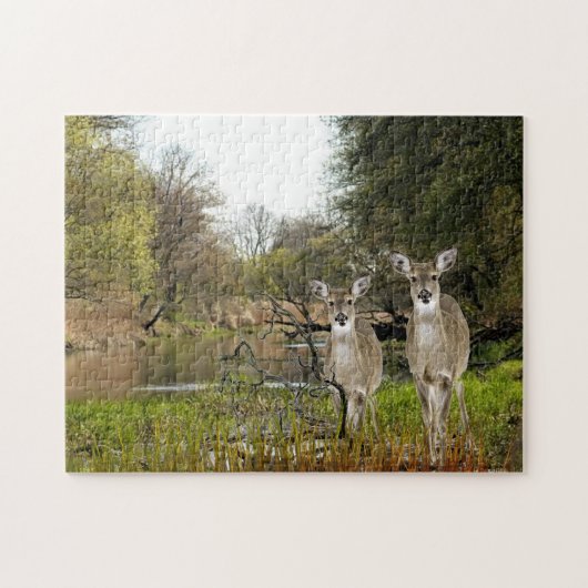 Puzzle Le cerf de Virginie en collage forestier (Horizontal)
