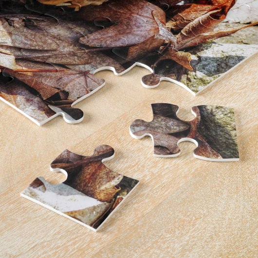 Puzzle Le champignon Morel dans la nature (Côté)