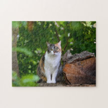 Le Chat
