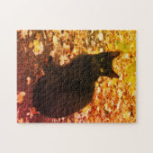 Puzzle Le chat noir Aurtumn laisse la photo (Horizontal)