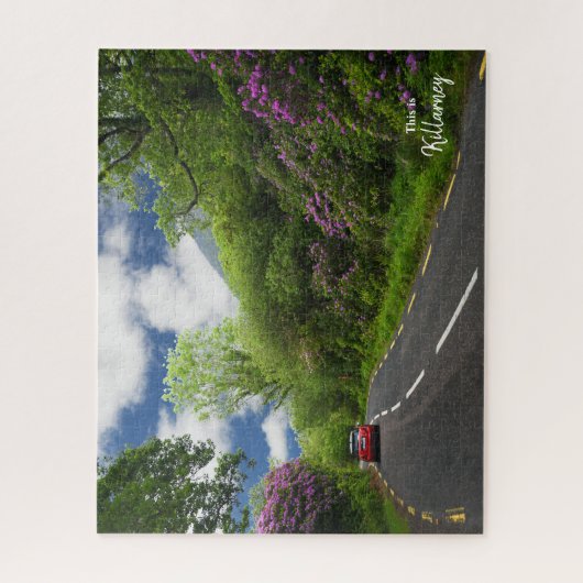 Puzzle Le chemin de Killarney - Irlande (Vertical)