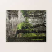 Puzzle Le chemin humide de magma de pluie dans la mousse (Horizontal)