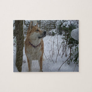 Puzzle le chien d'akita dans la neige a couvert la photo