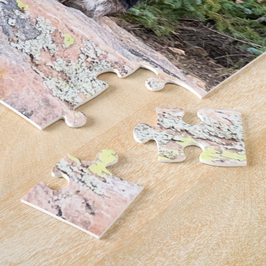 Puzzle Le chien de bétail masqué Brindle observe la scène (Côté)