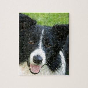 Puzzle Le chien de border collie ajoutent l'animal