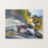 Puzzle Le chien de Boston Sticking Head out Car Window (Horizontal)