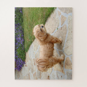 Puzzle Le chien de Lhassa Apso dans le jardin