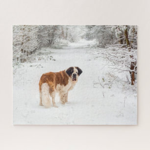 Puzzle Le chien de St Bernard dans la neige