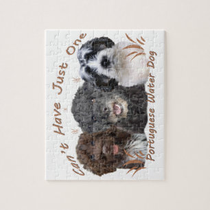 Puzzle Le chien d'eau portugais ne peut pas en avoir un s