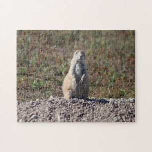 Puzzle Le chien des Prairies dans le parc national des Ba