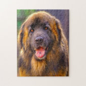 Puzzle Le Chien Leonberger Élevait Jigsaw. (Vertical)