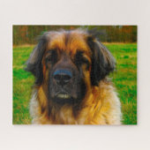 Puzzle Le Chien Leonberger Élevait Jigsaw. (Horizontal)
