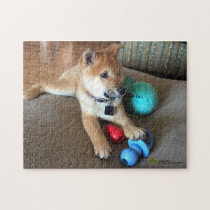 Puzzle Le Chiot De Shiba Inu Avec Des Jouets Colorés Pho