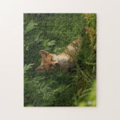 Puzzle Le chou renard dans une forêt verte (Vertical)