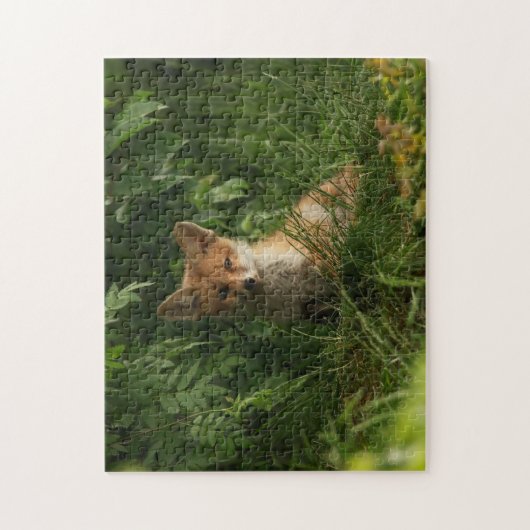Puzzle Le chou renard dans une forêt verte (Vertical)