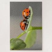 Puzzle Le coccinelle sur une feuille (Vertical)