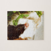 Puzzle Le cochon de Guinée dans les fleurs (Horizontal)