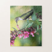 Puzzle Le colibri d'Anna sur les fleurs d'hyssop d'anis (Vertical)