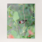 Puzzle Le colibri Ruby Throated, amoureux des oiseaux (Vertical)