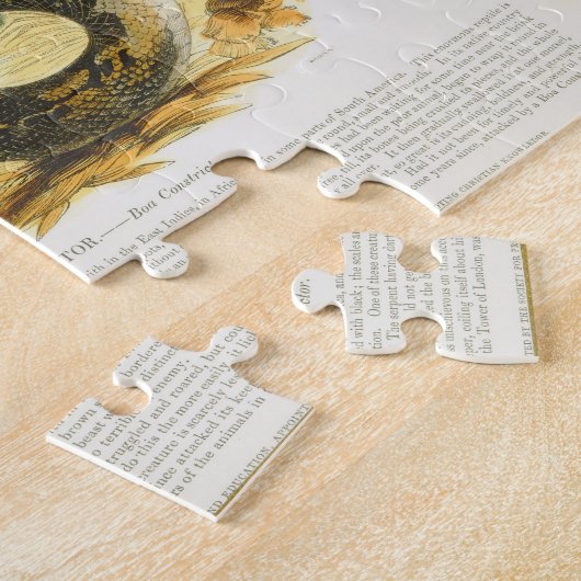 Puzzle Le constricteur de boa, pub. éducatif (Côté)