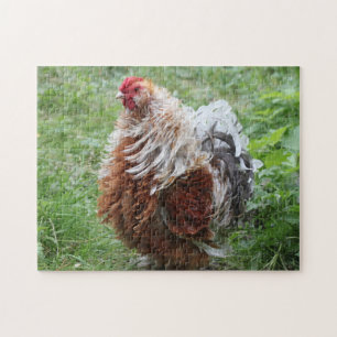 Puzzle Le coq de Fluffy Sizzle dans l'herbe