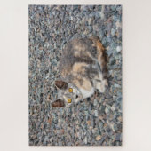 Puzzle Le Coque Coussin de chat (Vertical)