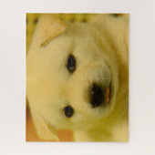 Puzzle le coréen Jindo Dog. (Vertical)