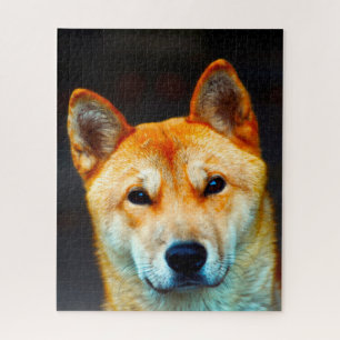 Puzzle le coréen Jindo Dog.