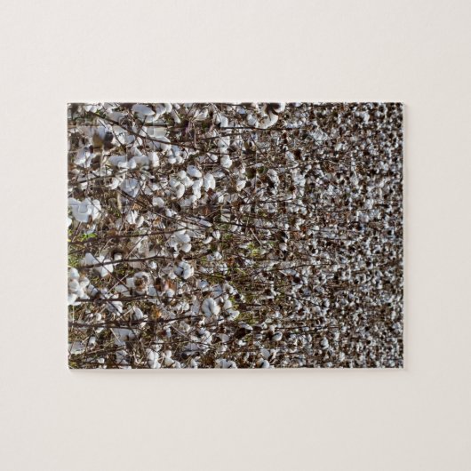 Puzzle Le coton cultive le champ (Horizontal)