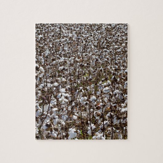 Puzzle Le coton cultive le champ (Vertical)