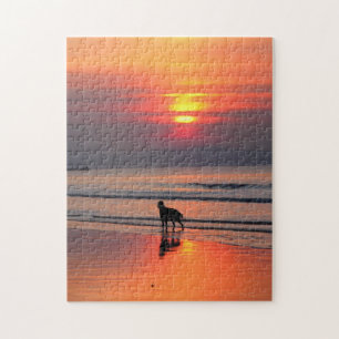 Puzzle Le couloir irlandais au coucher du soleil sur le p
