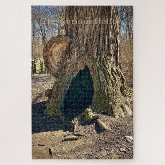 Puzzle Le Creux Curieux