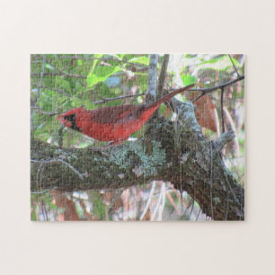 Puzzle Le déjeuner du Cardinal - Jardin Bird