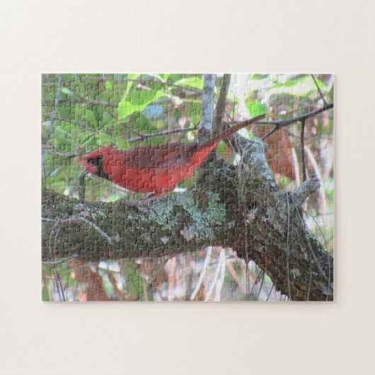 Puzzle Le déjeuner du Cardinal - Jardin Bird (Horizontal)