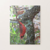 Puzzle Le déjeuner du Cardinal - Jardin Bird (Vertical)