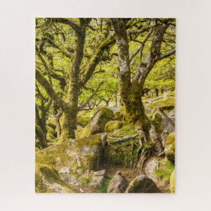 Puzzle Le Devon de Wistman's Wood Dartmoor