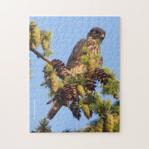 Puzzle Le faucon merlin dans l'arbre des pins