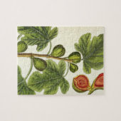 Puzzle Le figuier, plaquent 125 "d'un de fines herbes (Horizontal)