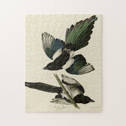 Puzzle Le gâteau américain des oiseaux d'Amérique d'Audub (Vertical)