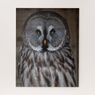 Puzzle Le Grand Chouette gris se tenant seul