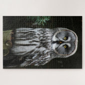 Puzzle Le grand hibou gris 20x30 1014pc jpcna (Horizontal)