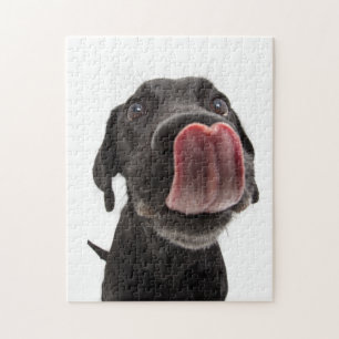 Puzzle Le Labrador Noir se lâche le nez