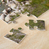 Puzzle Le lac Tahoe Nevada. (Côté)