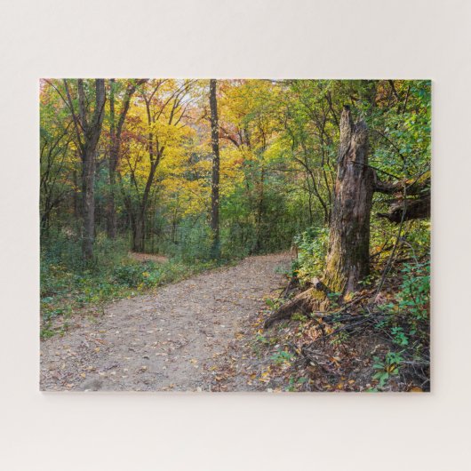 Puzzle le long du sentier forestier sinueux des collines  (Horizontal)