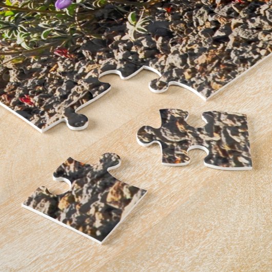 Puzzle Le Mont St. Helens (Côté)