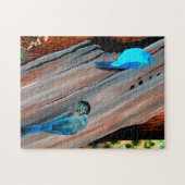 Puzzle Le nid de Bluebird (Horizontal)
