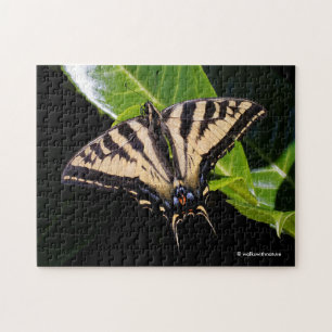 Puzzle Le papillon Swallowtail sur le Laurel Bush