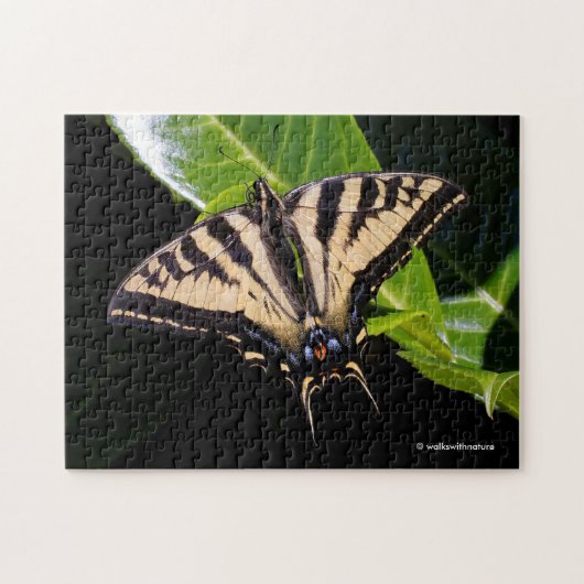 Puzzle Le papillon Swallowtail sur le Laurel Bush (Horizontal)